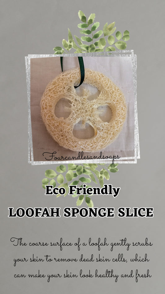 Loofah Sponge Slice