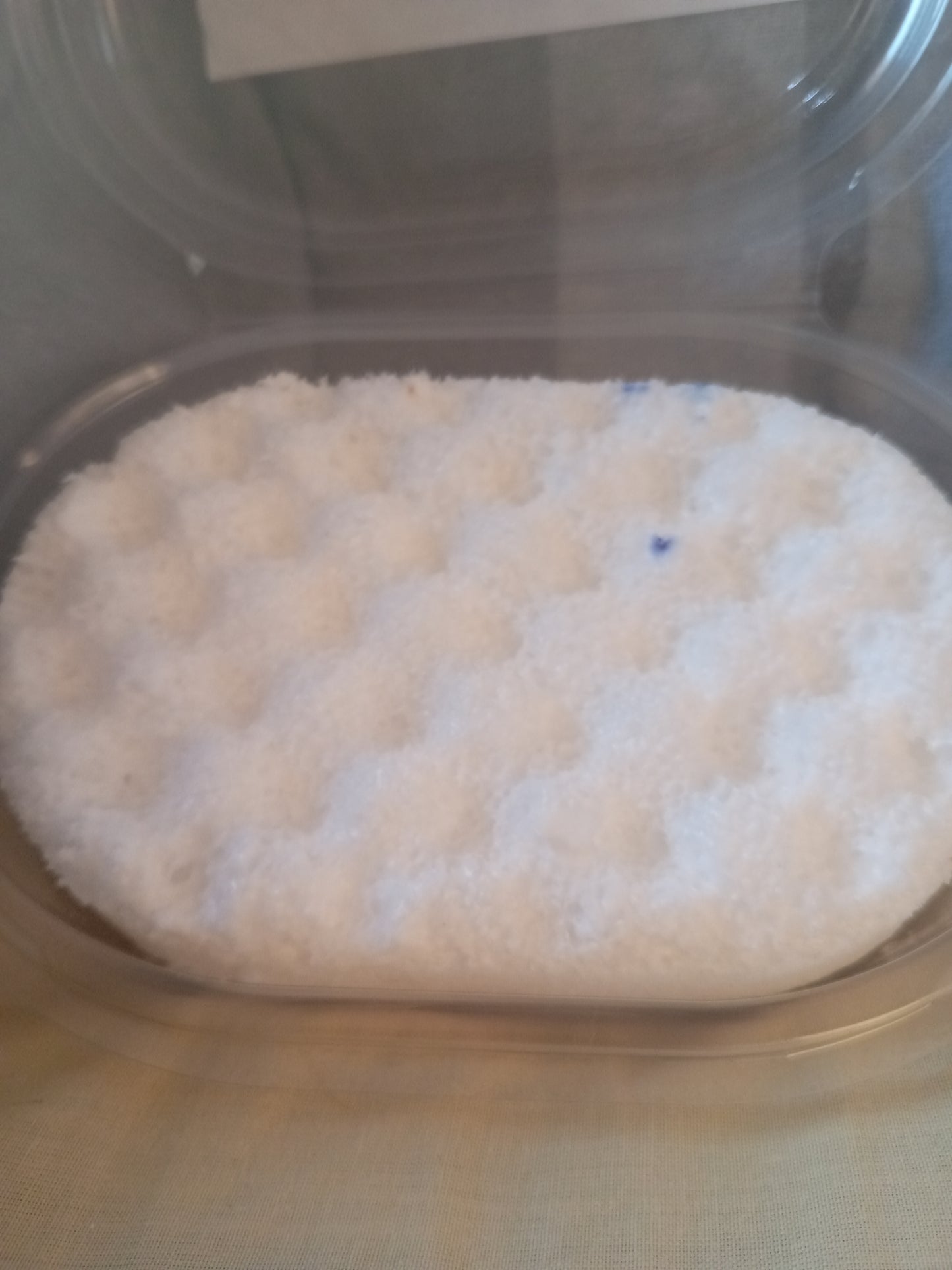 Dove Soap infused sponge
